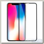 Защитное стекло для Apple iPhone X П/П черное